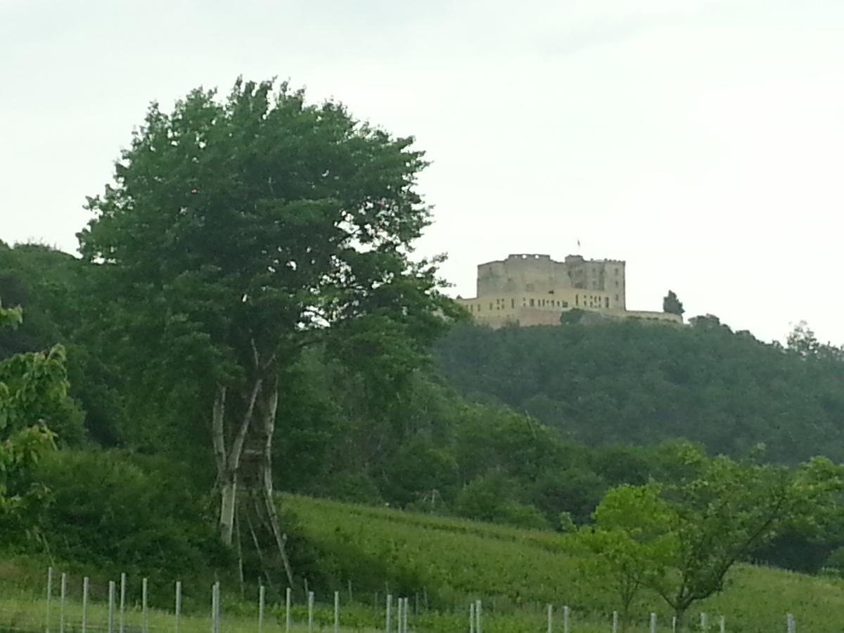 Gaestehaus Weingut Glas Neustadt an der Weinstrasse Bagian luar foto